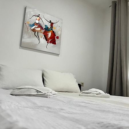 Apartments Velickovic ソコバニャ エクステリア 写真