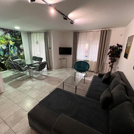 Apartments Velickovic ソコバニャ エクステリア 写真