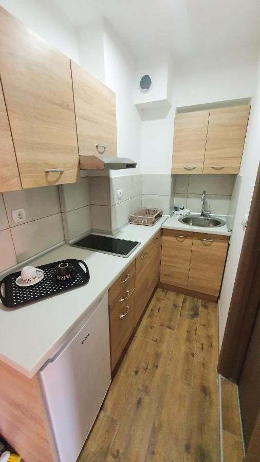 Apartments Velickovic ソコバニャ エクステリア 写真