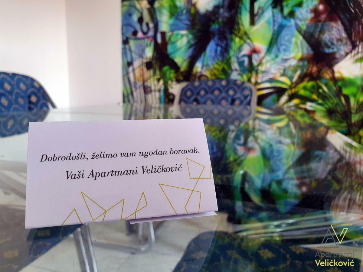 Apartments Velickovic ソコバニャ エクステリア 写真